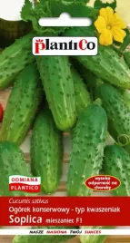 ogorek-gruntowy-soplica-mieszaniec-100-g-plantico-polan