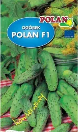 ogorek-gruntowy-polan-mieszaniec-100-g-plantico-polan