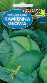 kapusta-glowiasta-biala-kamienna-glowa-50-g-plantico-polan