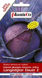 kapusta-glowiasta-czerwona-langedijker-50-g-plantico-polan
