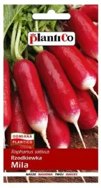 rzodkiewka-mila-100-g-plantico-polan