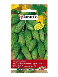 ogorek-gruntowy-hugon-mieszaniec-100-g-plantico-polan