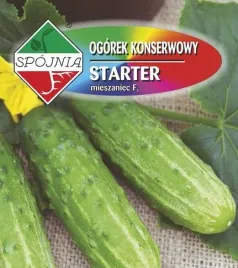 ogorek-gruntowy-starter-f1-50-g-plantico-polan