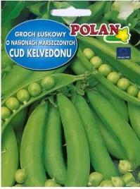 groch-siewny-luskowy-cud-kelvedonu-1000-g-plantico-polan