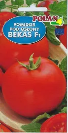 pomidor-pod-oslony-bekas-f1-05-g-polan
