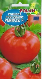 pomidor-pod-oslony-perkoz-f1-05-g-polan