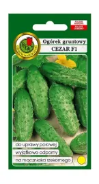 ogorek-gruntowy-cezar-f1-50-g-pnos