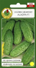ogorek-gruntowy-aladyn-f1-50-g-pnos