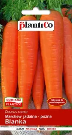 marchew-jadalna-blanka-100-g-plantico-polan
