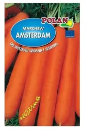 marchew-jadalna-amsterdam-3-amsterdamska-noe-500-g-plantico-polan