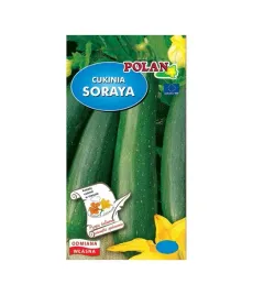 cukinia-soraya-500-g-plantico-polan