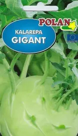 kalarepa-gigant-50-g-plantico-polan