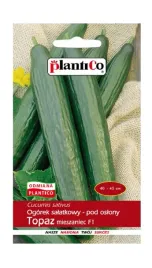 ogorek-pod-oslony-topaz-mieszaniec-f1-1-g-plantico