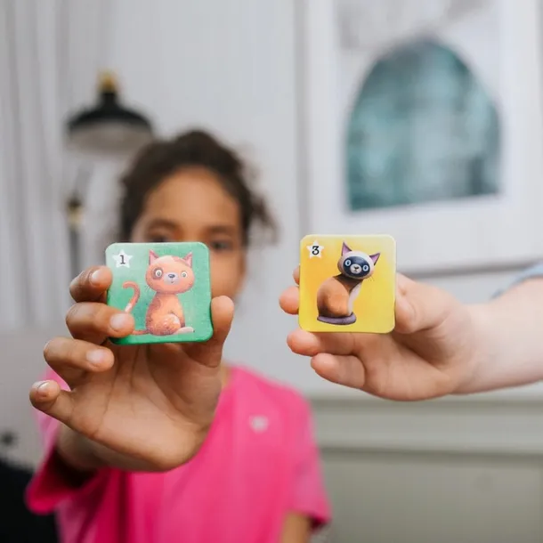 gra-kotki-trefl-bohater-brak