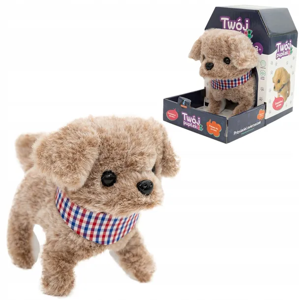 twoj-pupilek-piesek-bezowy-z-chustka-bohater-brak