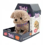 twoj-pupilek-piesek-bezowy-z-chustka-plec-chlopcy-dziewczynki