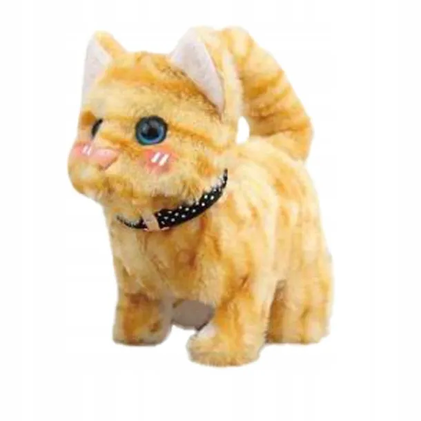 twoj-pupilek-kotek-brazowy-bohater-brak