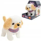 twoj-pupilek-piesek-bialo-bezowy-stan-nowy