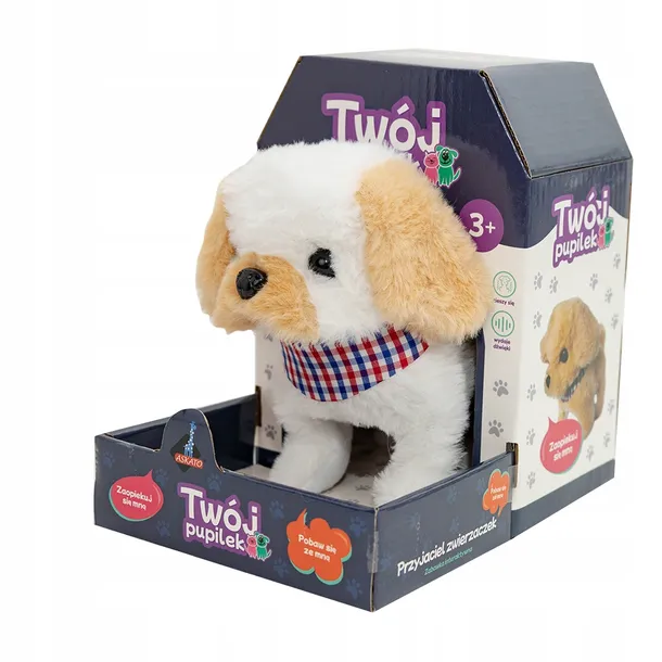 twoj-pupilek-piesek-bialo-bezowy-plec-chlopcy-dziewczynki