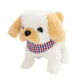 twoj-pupilek-piesek-bialo-bezowy-marka-askato