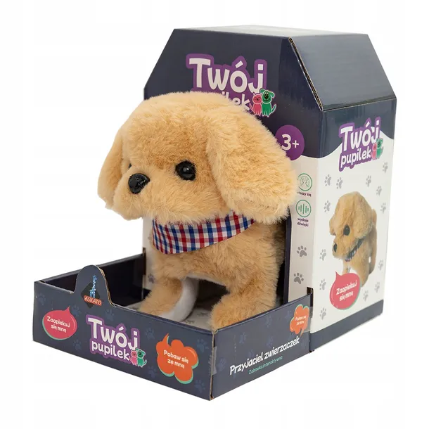 twoj-pupilek-piessek-plec-chlopcy-dziewczynki