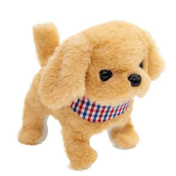 twoj-pupilek-piessek-marka-askato