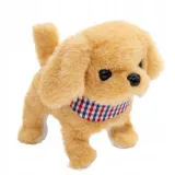 twoj-pupilek-piessek-marka-askato