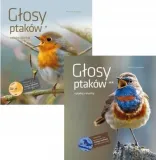 glosy-ptakow-t-1-2-rodzaj-ptaki
