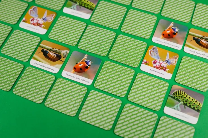 memory-owady-pajaki-polski-czas-rozgrywki-do-30-minut