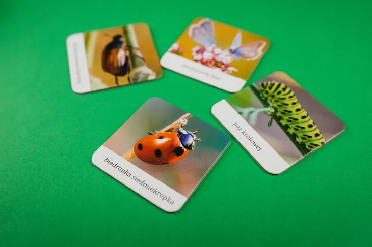 memory-owady-pajaki-polski-wiek-gracza-3-4-lata-5-7-lat-8-11-lat-12-14-lat-15-18-lat-18