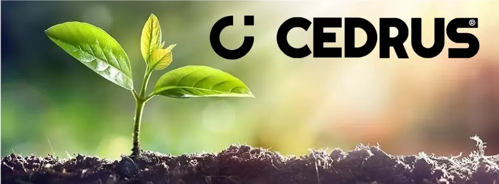 dmuchawa-do-lisci-cedrus-dm05pro