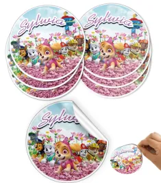 12szt-naklejki-nalepki-psi-patrol-imienna-6-5cm