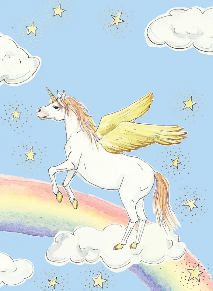 karnet-b6-kon-tecza-stan-nowy