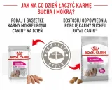 royal-canin-mini-exigent-3kg-marka-royal-canin