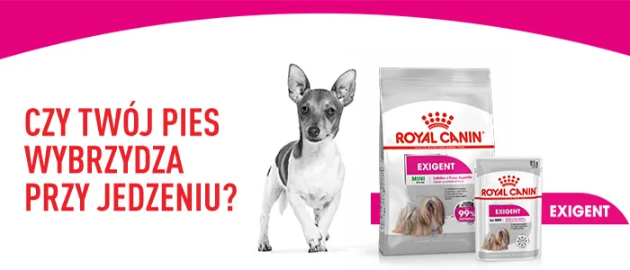 royal-canin-mini-exigent-3kg-karmy-specjalne-dla-psow-z-nadwrazliwoscia-pokarmowa
