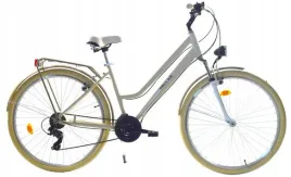 rower-dallas-city-trekking-alu-28-21spd