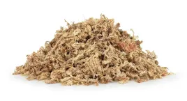 mech-torfowiec-sphagnum-moss-50g