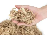 mech-torfowiec-sphagnum-moss-50g-stan-nowy