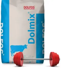 dolfos-dolpower-1kg