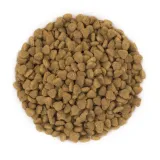 pure-brave-mini-2kg
