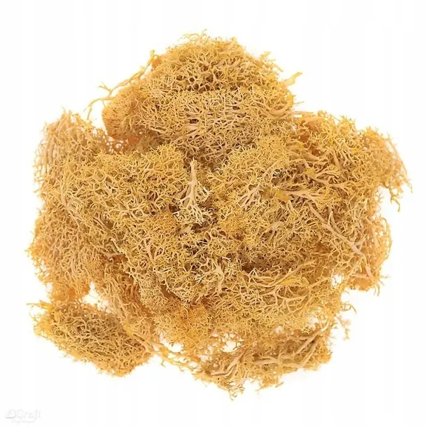 mech-ochrowy-30g-kod-producenta-5903925012057