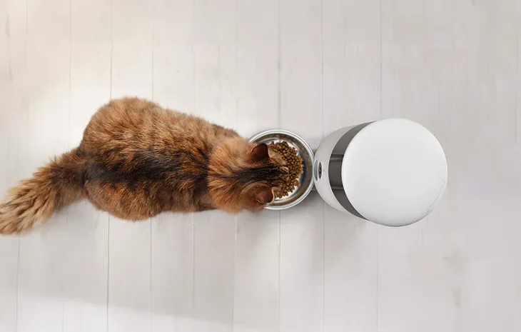 smart-pet-feeder-wth-camera-petoneer-nutrivue-stan-nowy
