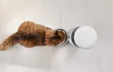 smart-pet-feeder-wth-camera-petoneer-nutrivue-stan-nowy