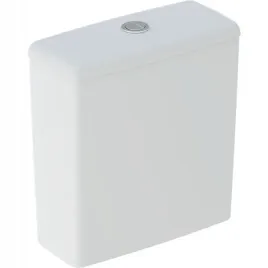 geberit-selnova-square-spluczka-nasadzana-dwudzielneobracana-wc-rimfree