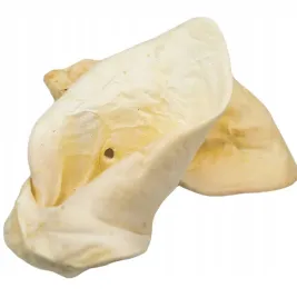 gryzak-naturalny-ucho-cielece-biale-1szt
