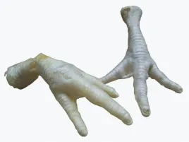 gryzak-naturalny-lapka-kurza-biala-1szt