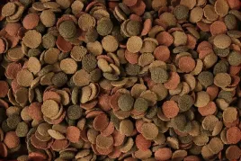 small-wafers-100g-pokarm-z-planktonem-pokarm-dla-ryb-dennych