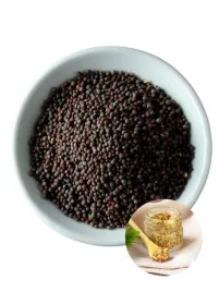 gorczyca-czarna-ziarno-nasiona-przyprawa-indyjska-do-musztardy-200g