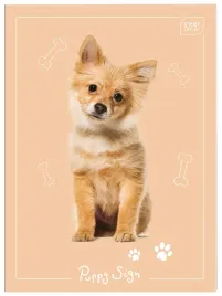 zeszyt-notatnik-maly-a6-32-krata-uv-puppy-sing-zwierzaki-interdruk