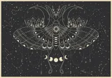 puzzle-500-elementow-galaxy-2-interdruk-stan-nowy